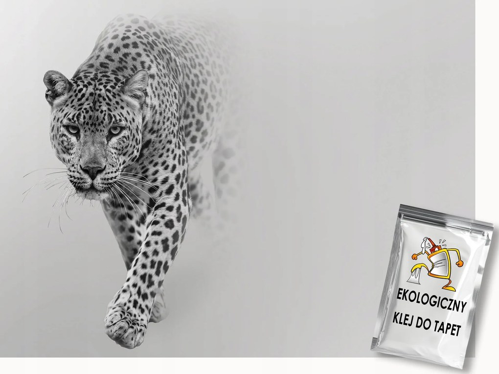 Fotótapéta Flizelina Állatok Fauna Leopárd Macska Szürke Köd 200x140 ragasztó