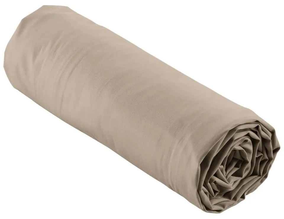 Világosbarna gumis pamut-perkál lepedő 180x200 cm Percaline – douceur d'intérieur