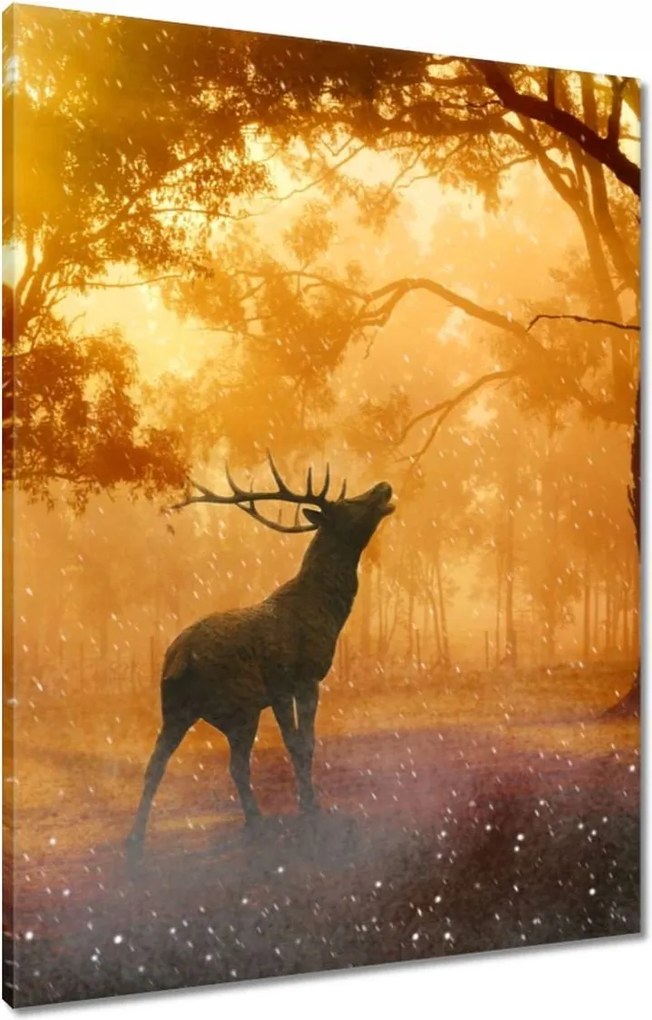 Vászonkép 60x80 Szarvas az erdőben