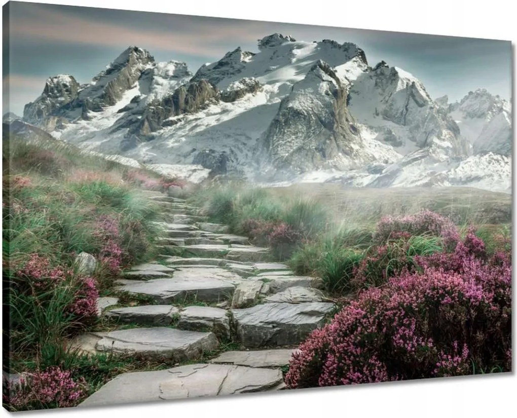 Vászonkép 70x50 Hegyi kilátás Tájkép Köd