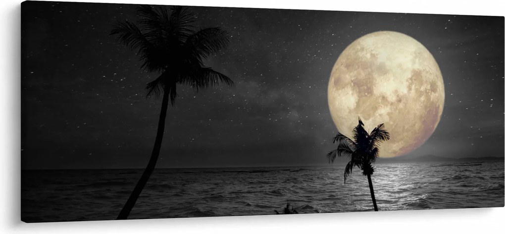 Kép - A strand a telihold alatt szürke tónusokkal (120x50 cm)