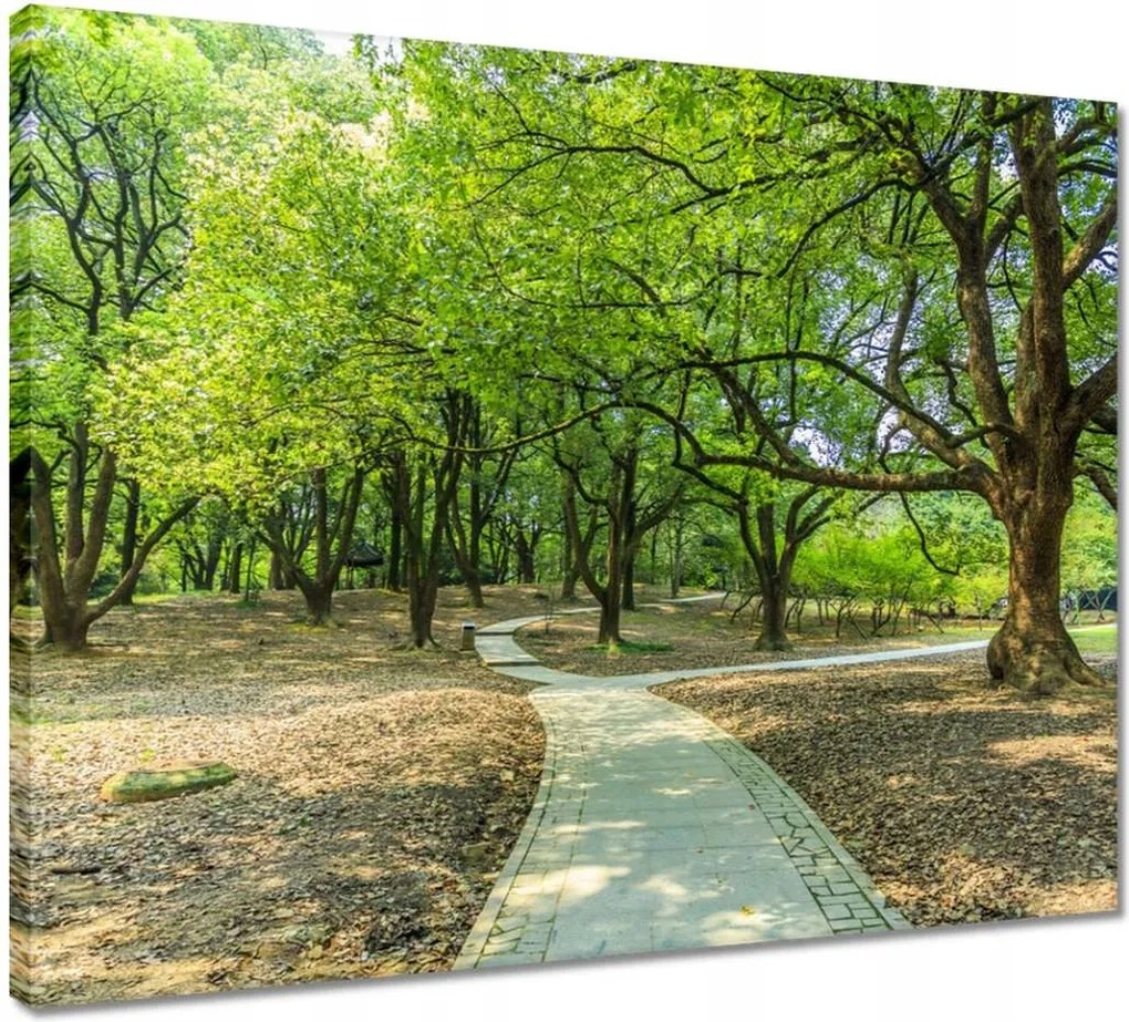 Vászonkép 50x40 Zöld park úttal