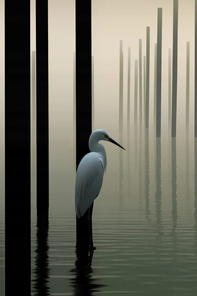 Poszter 20x30cm Köd a vízen