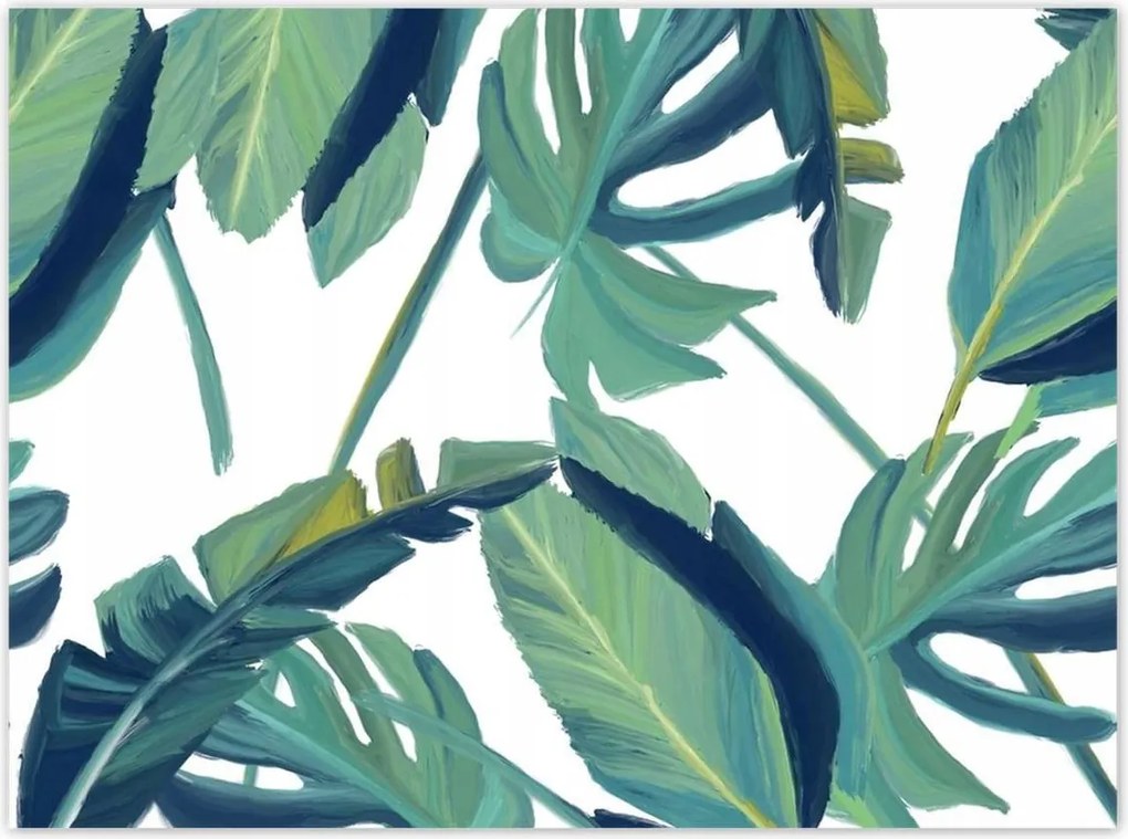 Poszterek 135x100 Monstera Levelek levél