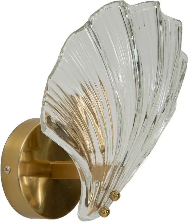 Aranyszínű üveg fali lámpa Da Muro Shell – Mauro Ferretti