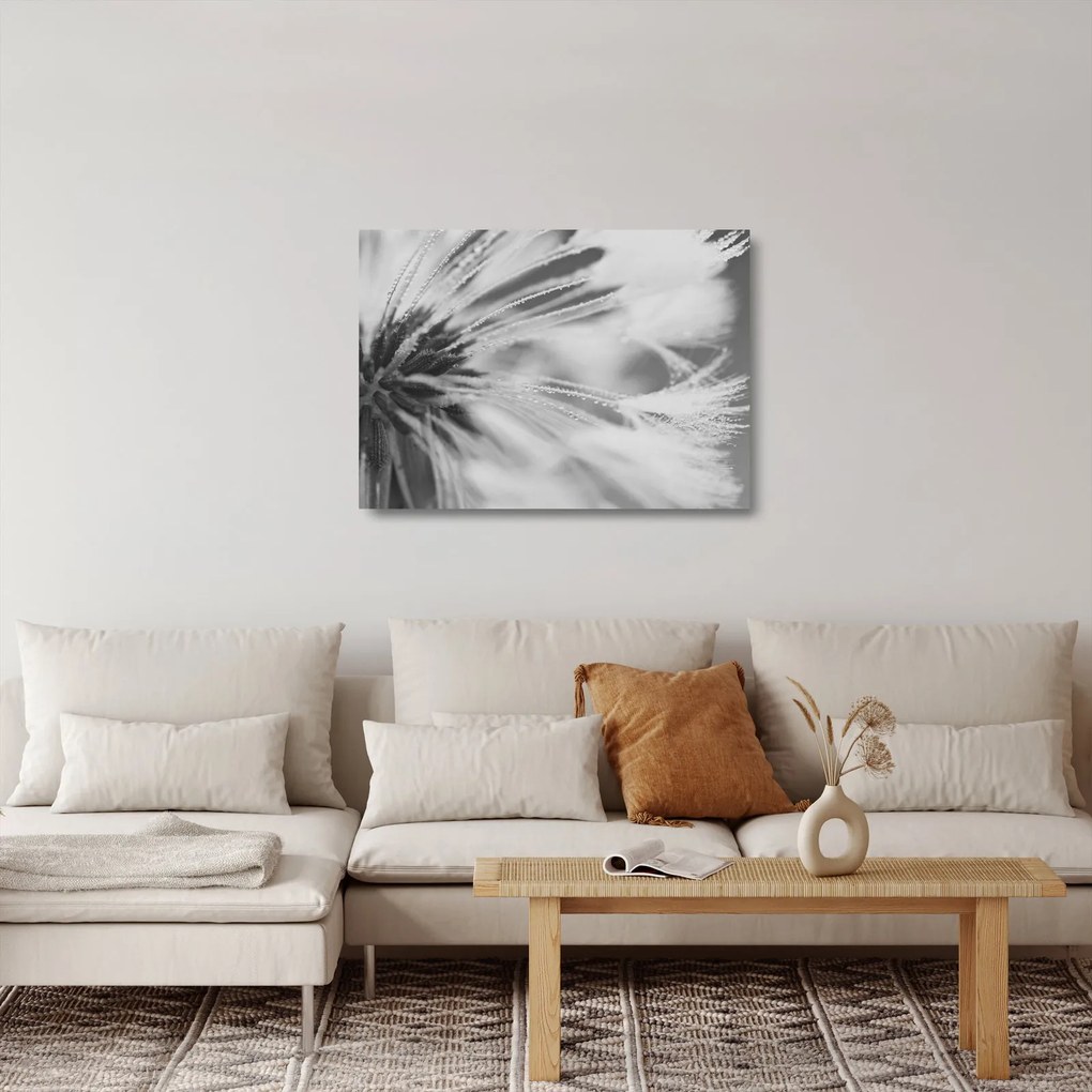 Üveg kép - Pitypang (70x50 cm)