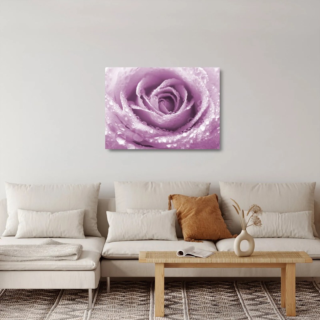 Üvegkép - Egy rózsa virág részlete (70x50 cm)