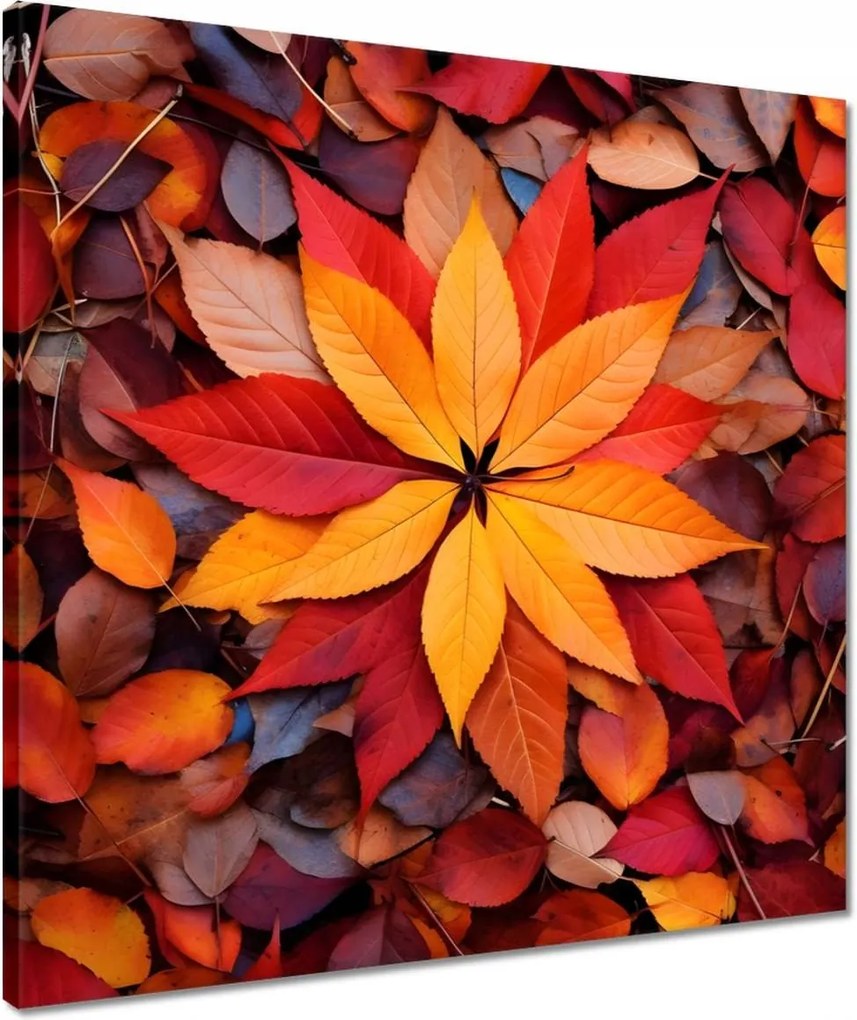 Vászonkép 50x50 Őszi színes levelek