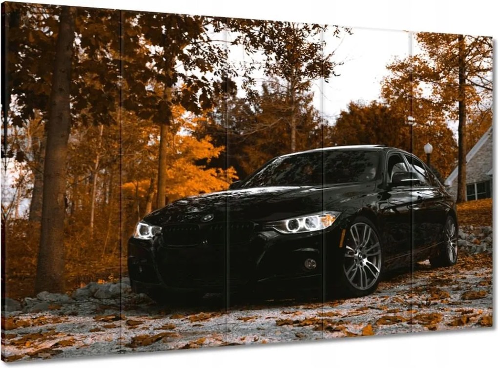 Vászonkép 100x70 Fekete Bmw Ősz