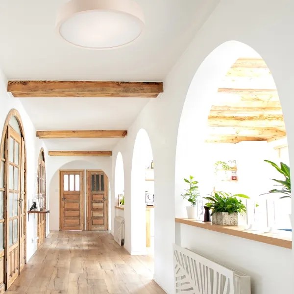 Mennyezeti lámpa 2xE27/60W/230V