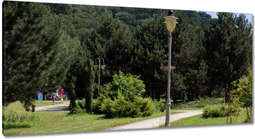 Vászonkép 115x55 Zöld park fákkal
