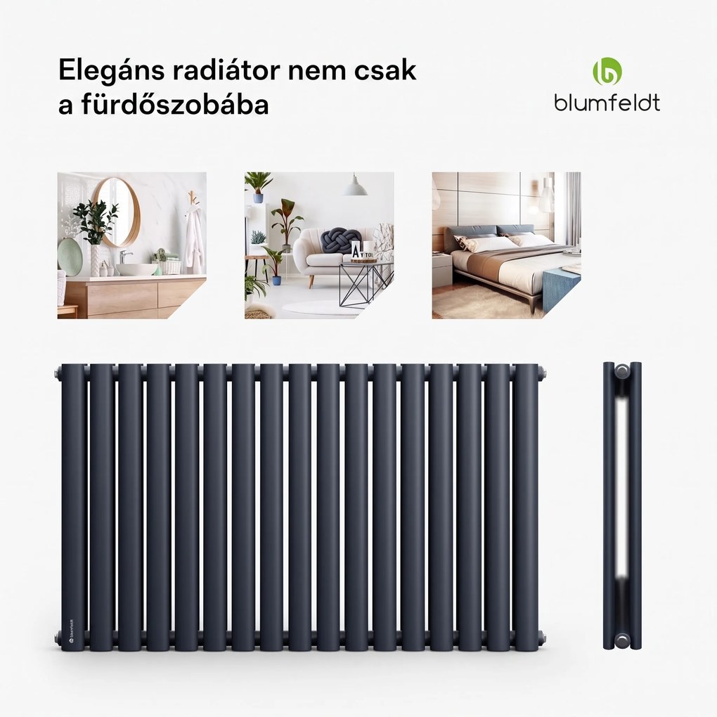Blumfeldt Tallheo, 100 x 60, radiátor, csőradiátor, 1445 W, melegvizes, 1/2