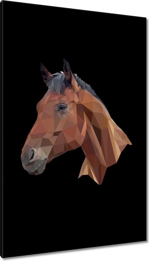 Vászonkép 80x120 Lófej