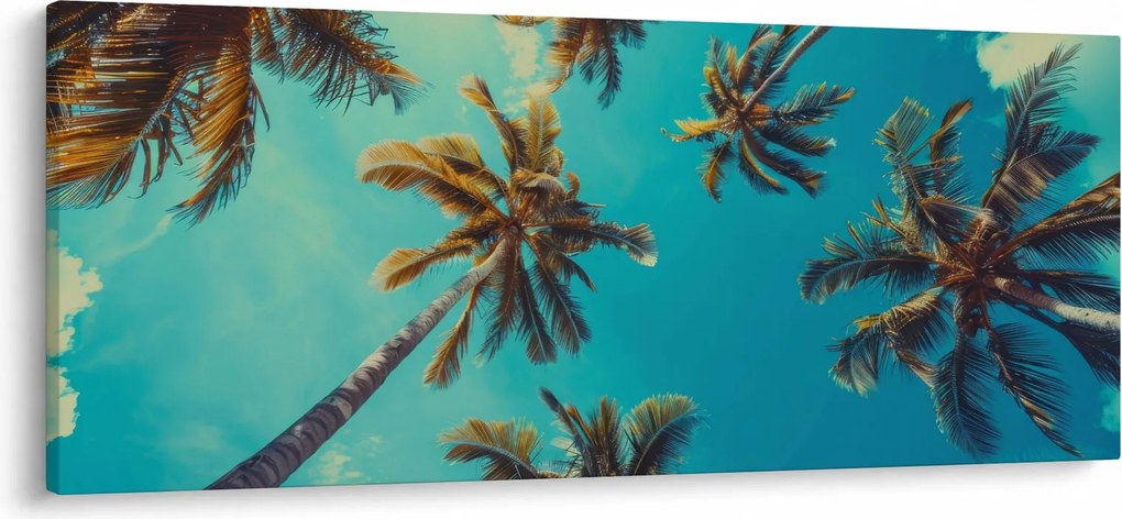 Kép - Magas pálmafák (120x50 cm)