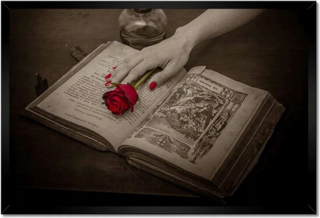 Poszterek keretben 60x40 Vörös rózsa a könyvön