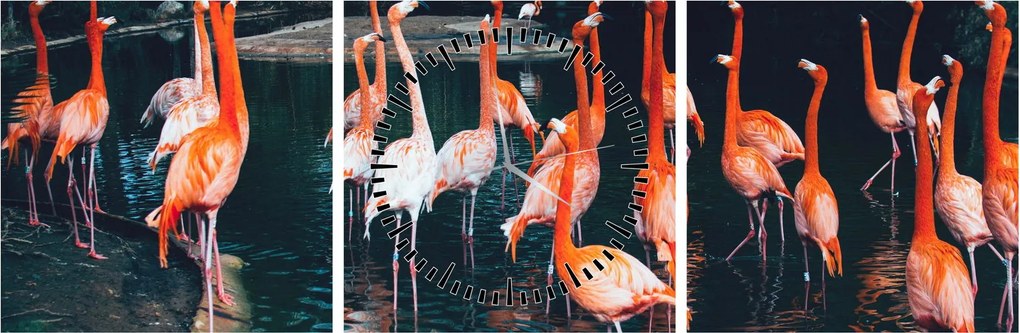 Flamingók csordája (órával) (90x30 cm)