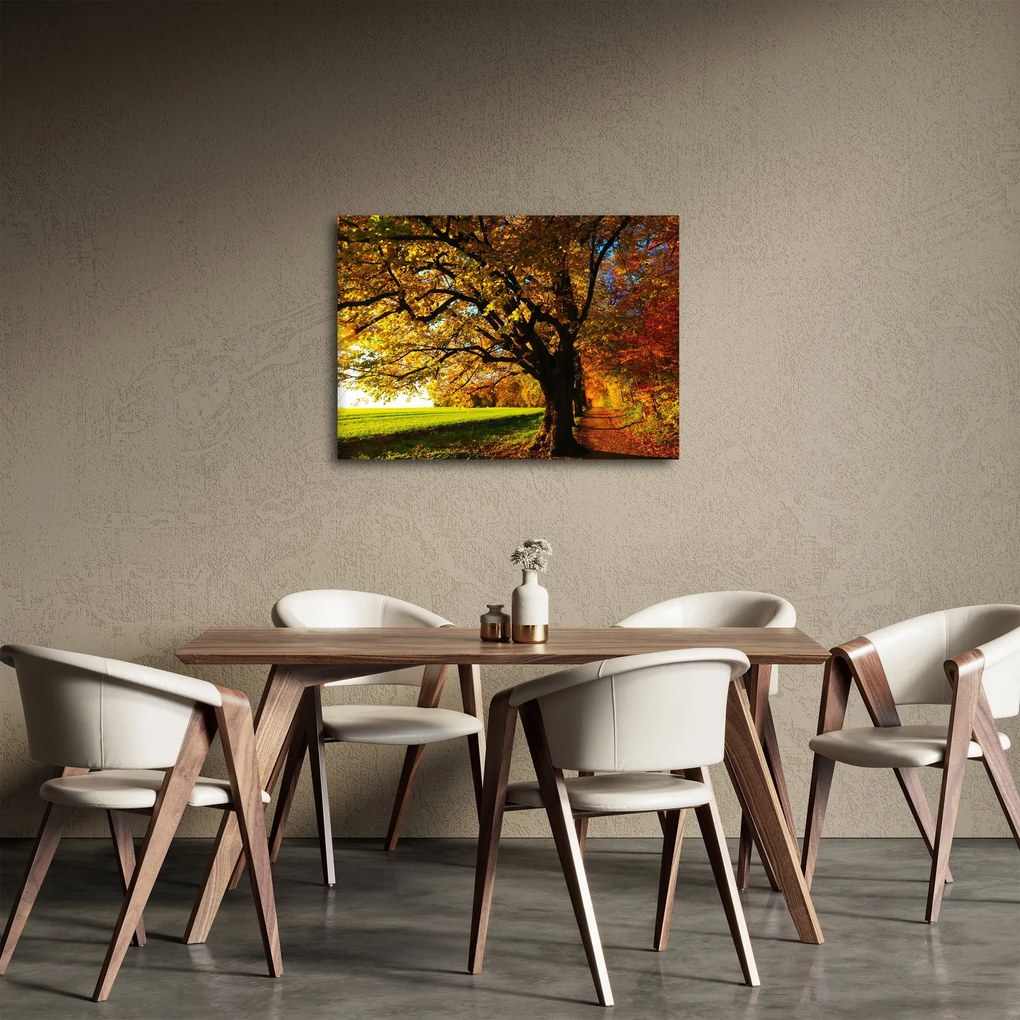 Egy őszi fa képe (70x50 cm)