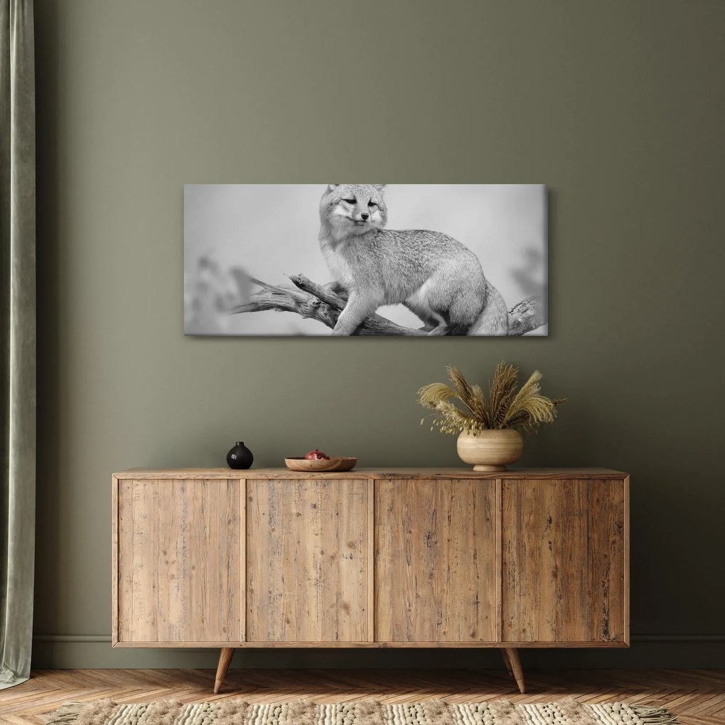 Kép - Szürke róka (120x50 cm)
