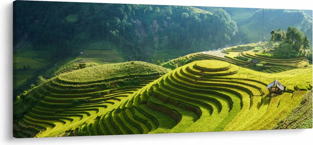 Kép - Rice Terraces koncert (120x50 cm)
