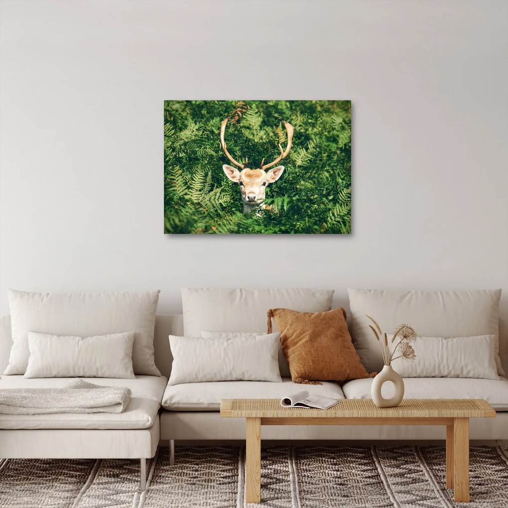 Kép - őz fej részlete (70x50 cm)