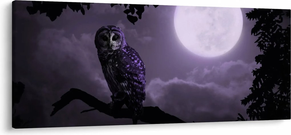 Kép - Éjjeli bagoly, lila (120x50 cm)