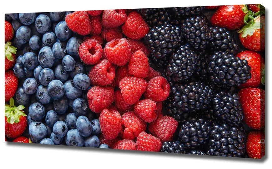 Feszített vászonkép Erdei gyümölcsök pl-oc-120x60-f-88601992