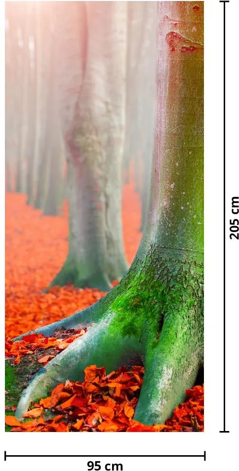 Fotótapéta ajtóra - Fák (95x205cm)