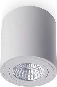 RENDL MAYO R mennyezeti billenthető fehér 230V LED 9W 36° 2700K