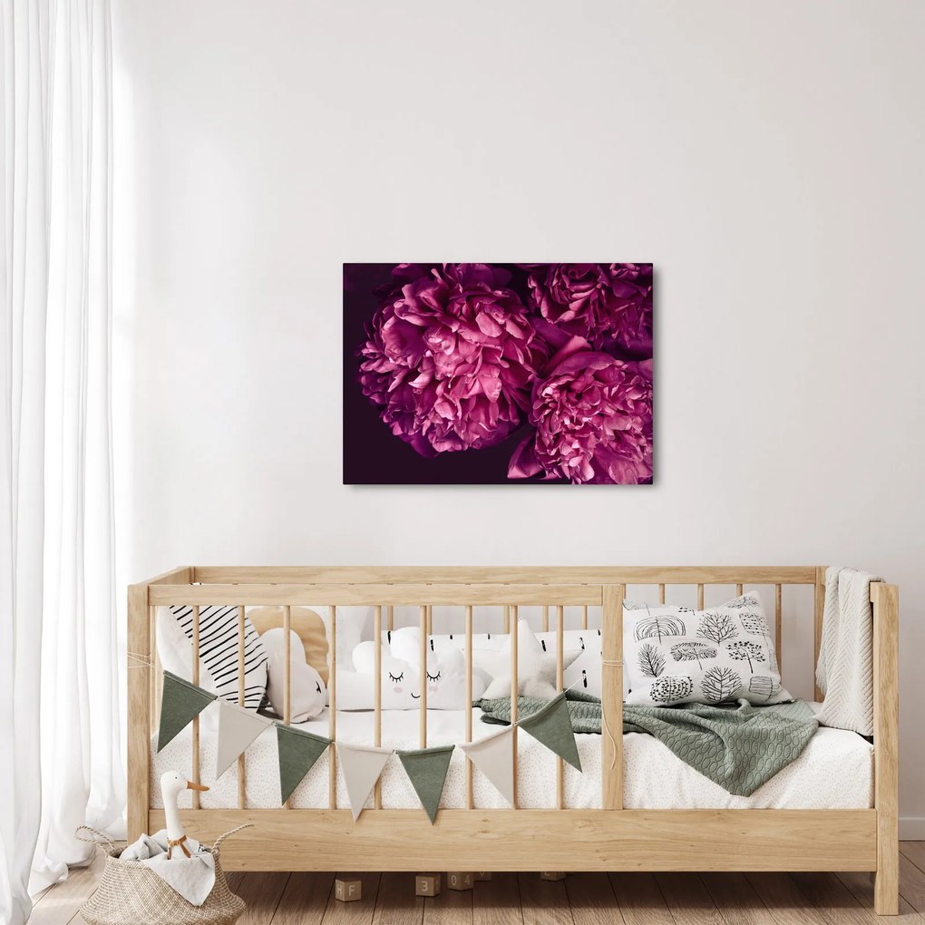 Kép - Csokor pünkösdi rózsa (70x50 cm)