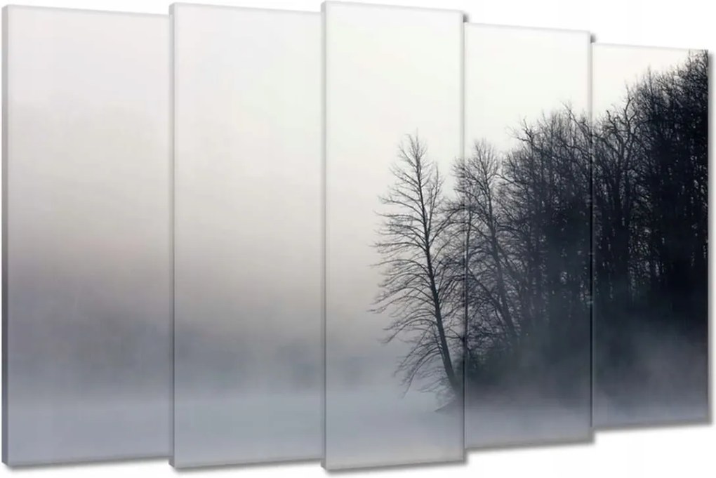 Vászonkép 150x95 Ködös erdő Tél