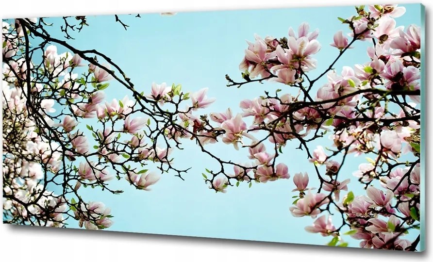 Fotó üvegkép Filc tulipánok 100x70