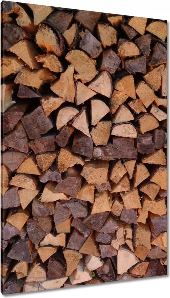 Vászonkép 80x120 Kandalló fa