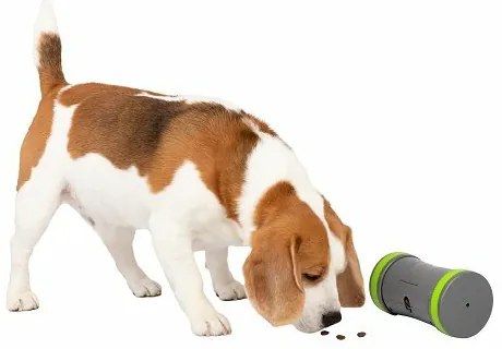 PetSafe® Kibble Chase™ Elektronikus játékkutyáknak