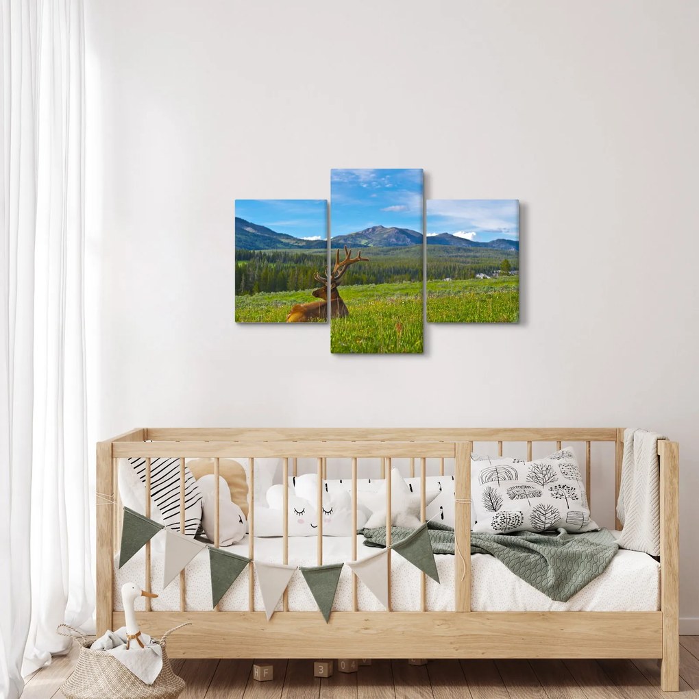 Kép - Szarvas a réten (90x60 cm)
