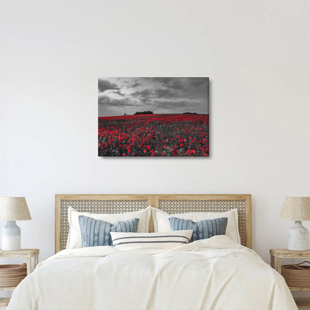 Pipacsos kép (70x50 cm)