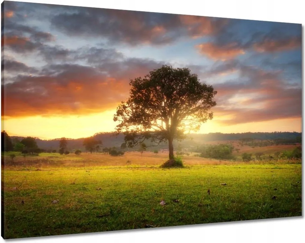 Festmények 100x70 Varázslatos tájkép