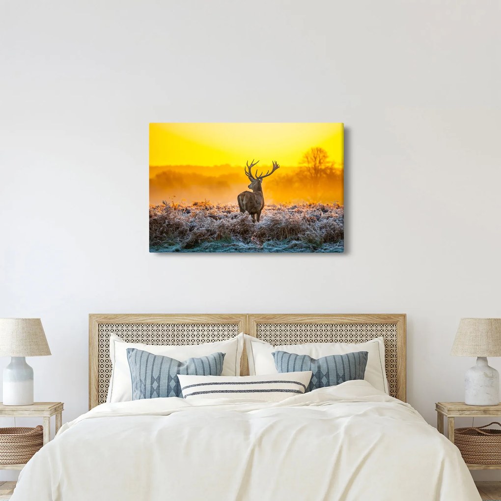 Kép - Szarvas napfelkeltekor (90x60 cm)