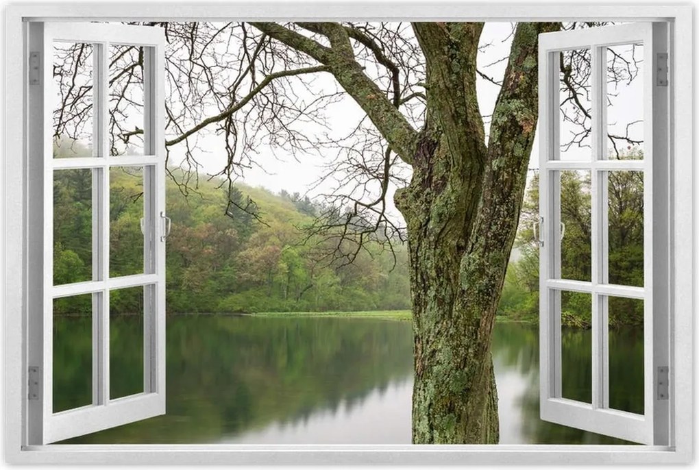 Poszterek 120x80 Fa Folyó Erdő