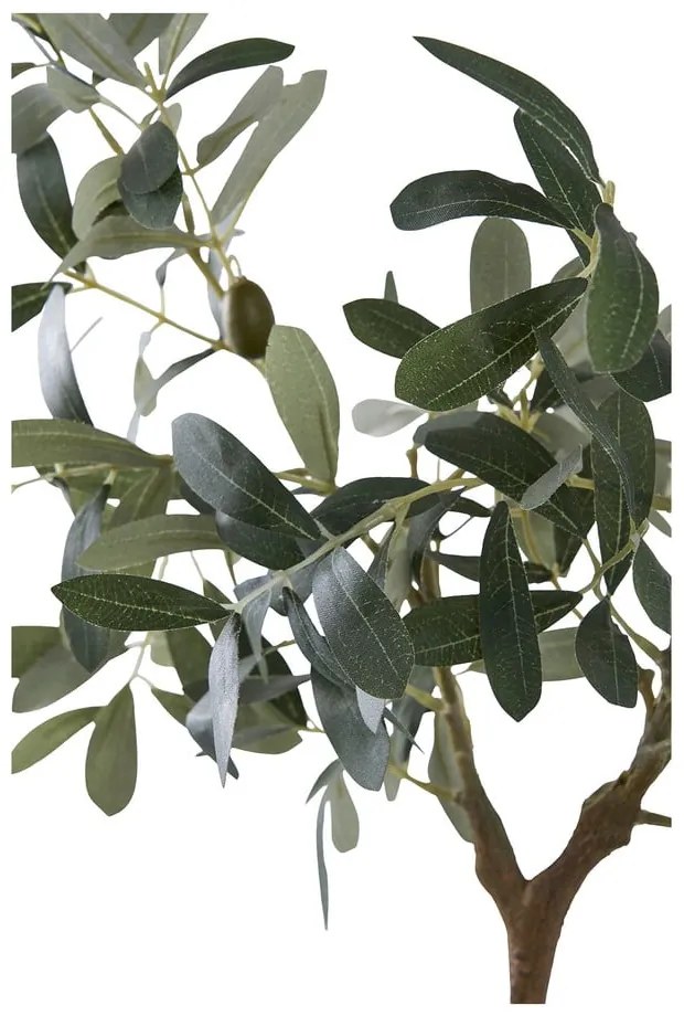 Olajfa műnövény (magasság 61 cm) – House Nordic