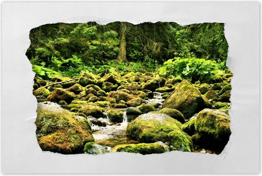 Poszterek 90x60 Tátra Lengyel hegyek Kilátás