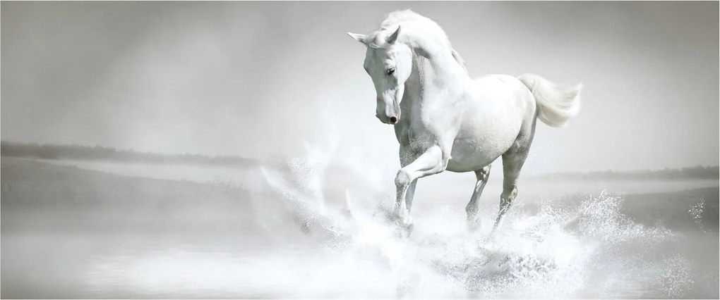 Kép - Fehér ló (120x50 cm)