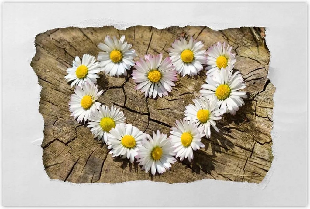 Poszterek 90x60 Kamilla szív