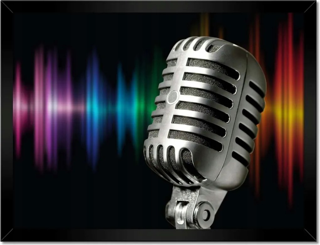 Poszterek keretben 40x30 Mikrofon