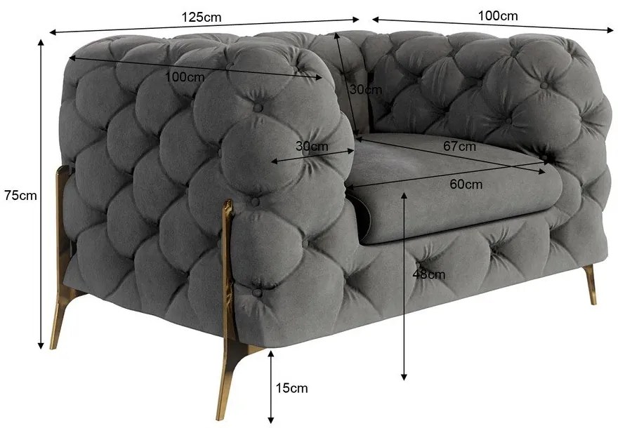 Szürke bársony fotel Chelsea Bis – Ropez