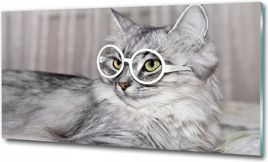 Fotótapéta üvegfalra Macska szemüveggel 125x50
