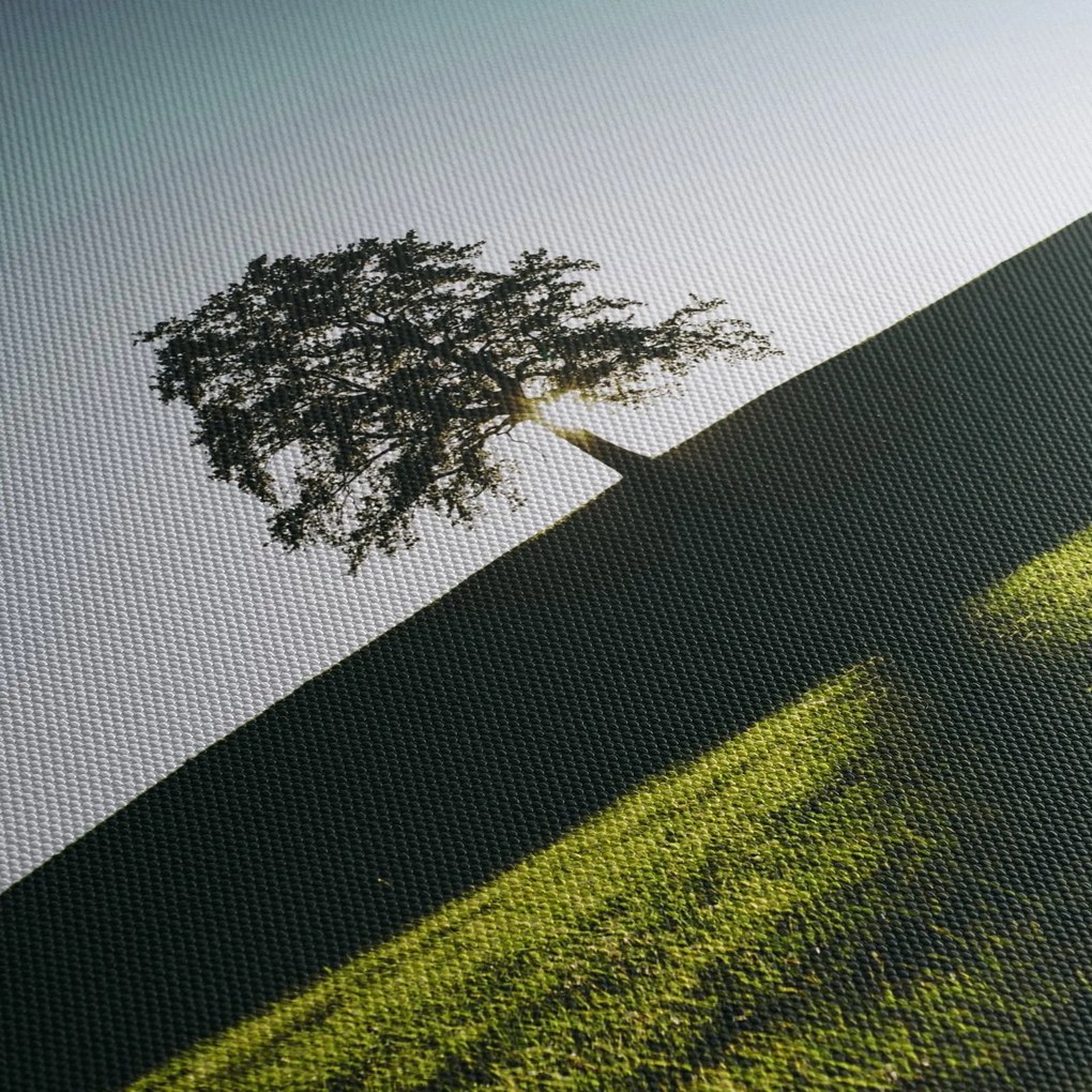 Természet kép - fa (120x50 cm)