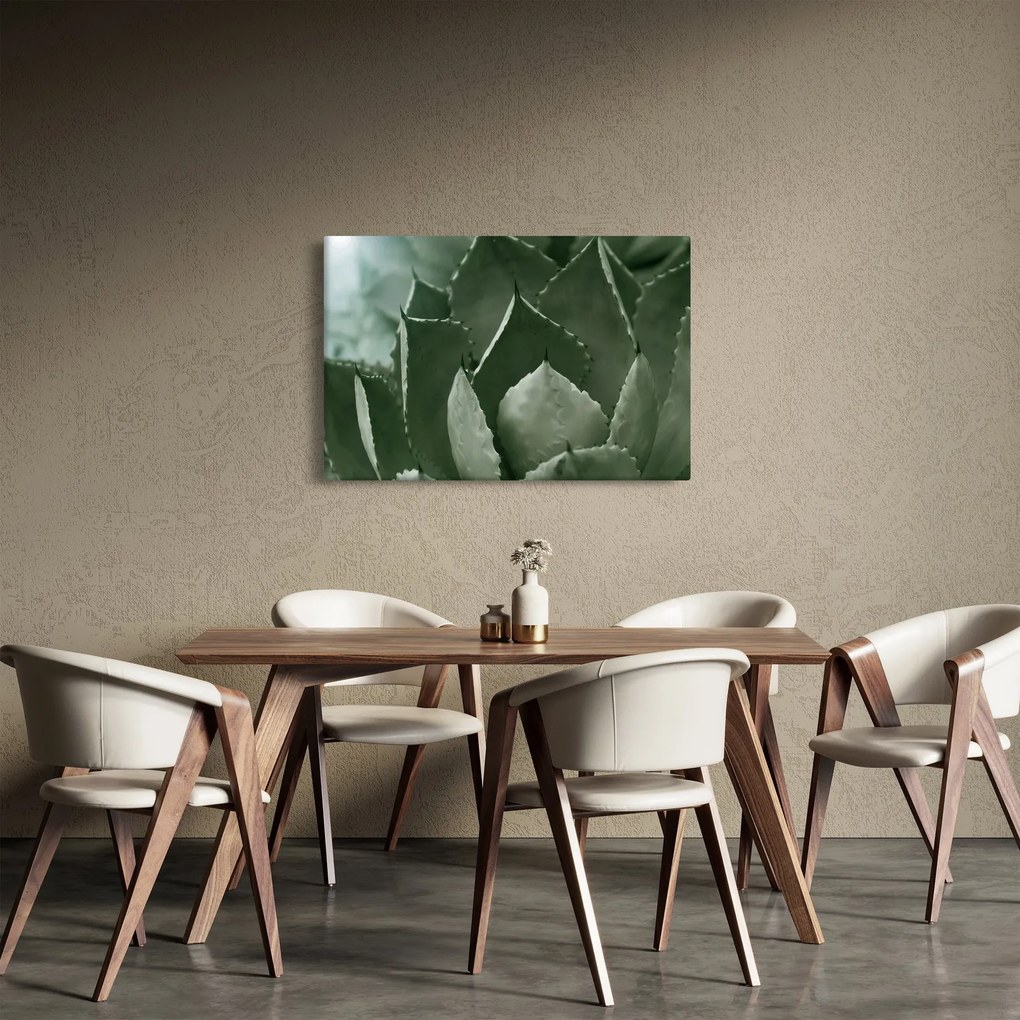 Kép - Zöld agávé (90x60 cm)