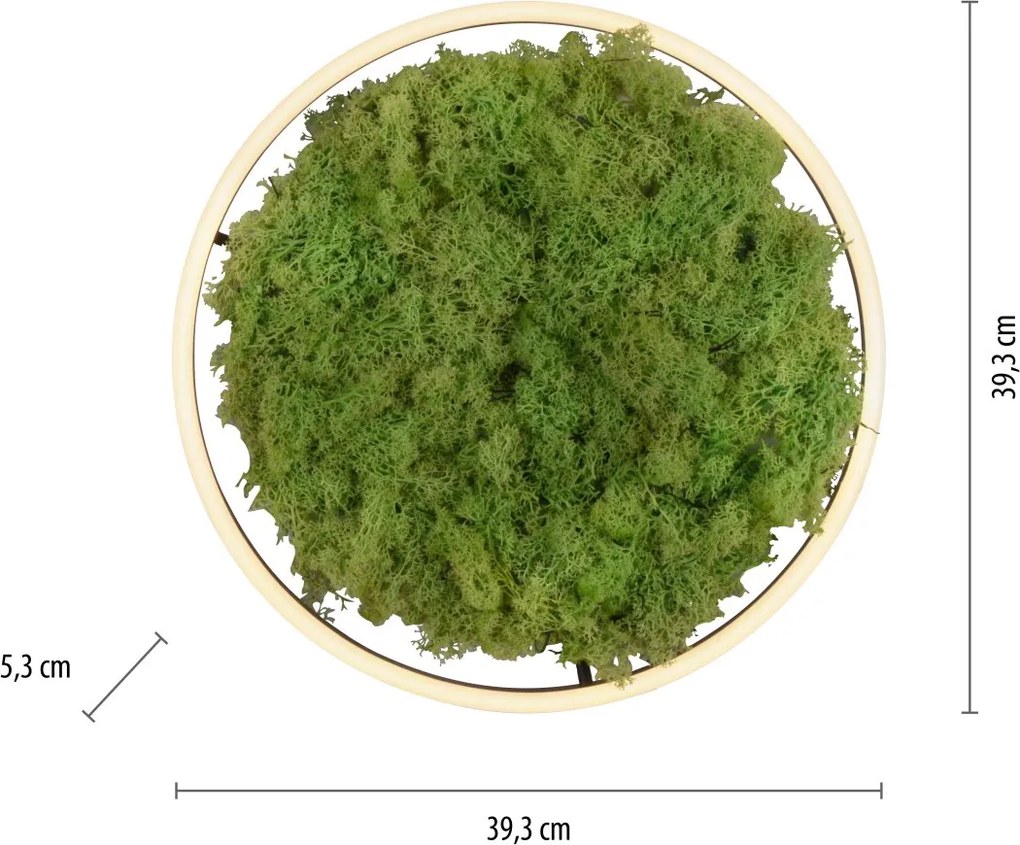 Paul Neuhaus modern skandináv mennyezeti lámpa green ritus zöld pln15391-66