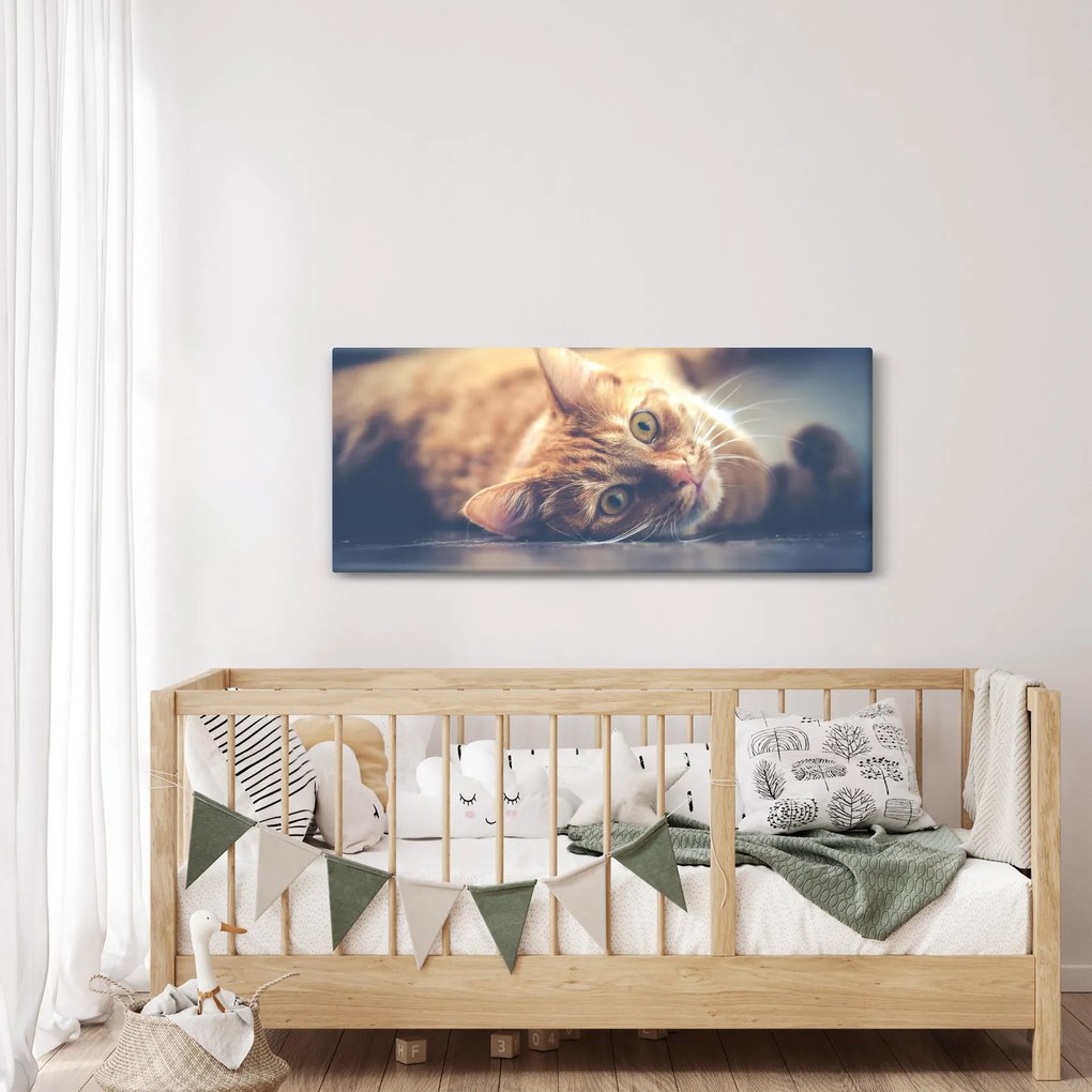 Egy kép a macskáról a padlón (120x50 cm)