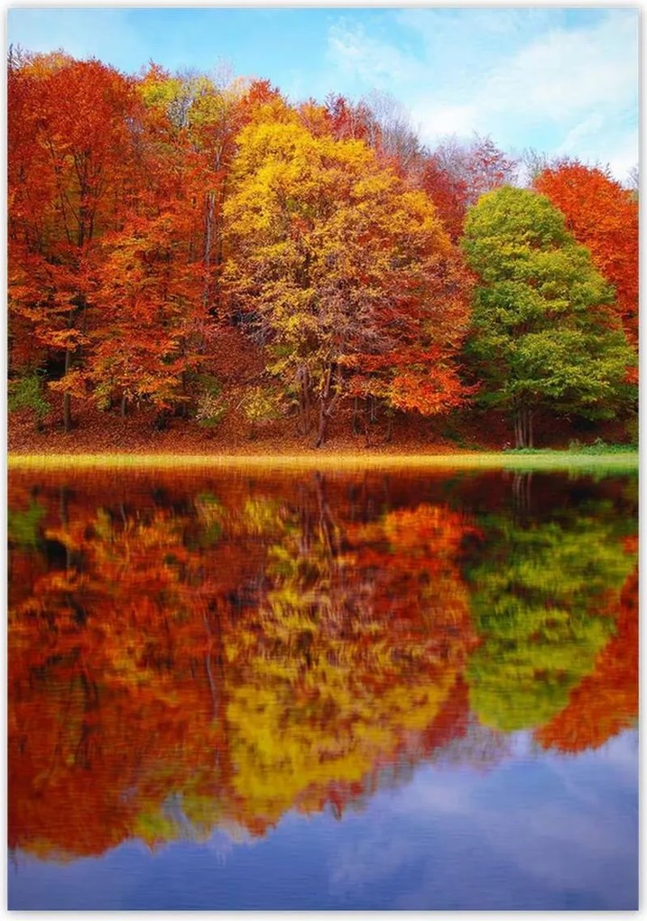 Poszterek 70x100 Őszi táj